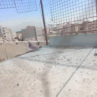 کفترسرور