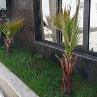 اجاره باغ ویلا استخردار آبگرم بیلیارد دار|اجارهٔ کوتاه‌مدت ویلا و باغ|صباشهر, |دیوار