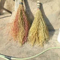 جارو شهرداری