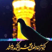 ثــبت نام فقط امـروز ( افـر ویژه مشهد سلف سرویس