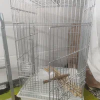 قفس بزرگ  کاسکو یی