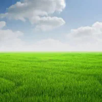 حفر چاه فاضلاب