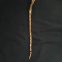 تسبیح