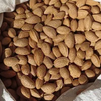 بادام درختی بروجرد