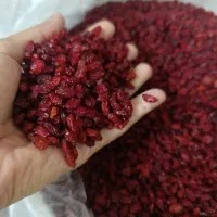 زرشک تازه