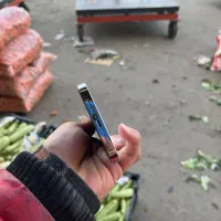 14 pro max 256|موبایل|قم, شهرک سازمان آب|دیوار