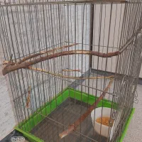 قفس بزرگ نو|لوازم جانبی حیوانات|بندر امام خمینی, |دیوار