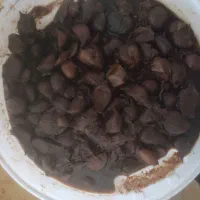 سیر ترشی اعلا و درجه یک