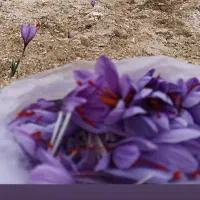 زعفران|خوردنی و آشامیدنی|آزادشهر, |دیوار