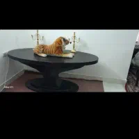 مبل ۵ نفره و میز بزرگ ناهار خو|مبلمان خانگی و میز عسلی|سبزوار, علمدار|دیوار