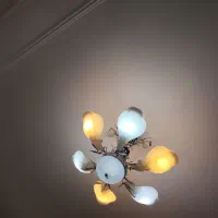 لوستر سالم و 9 پر