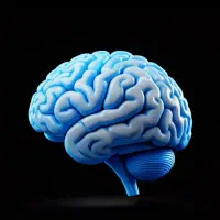 تدریس زبان انگلیسی و ریاضی ابتدایی