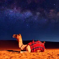 تور کویر مصر تورکویر