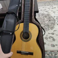 گیتار پالادو CG80