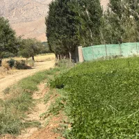 زمین-باغی-سپیدان