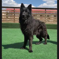 استخدام کارگر  24