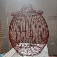 قفس