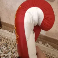 دستکش حرفه‌ای، میت|تجهیزات ورزشی|کرج, دهقان ویلا|دیوار