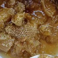 عسل کوهی وحشی|خوردنی و آشامیدنی|تهران, بوستان ولایت|دیوار