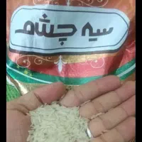 زیره قیمت برنج