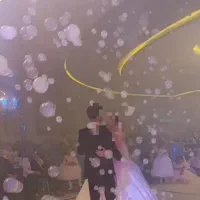 دیجی شادی|خدمات پذیرایی، مراسم|زاهدان, |دیوار