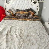 تخت خواب همراه با پاتختی