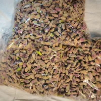 پسته فیض آباد|خوردنی و آشامیدنی|مشهد, فارغ التحصیلان|دیوار