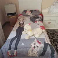 سرویس خواب|تخت و سرویس خواب|مشهد, کوه سنگی|دیوار