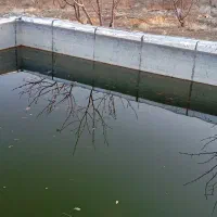 فروش ماهی قرمز