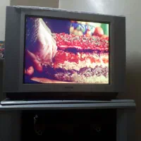 تلویزیون ۲۹ سونی به همراه زیزتلویزیون