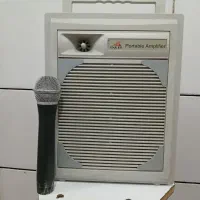 اکو همراه شارژی با میکروفن بیسیم دی ان دی