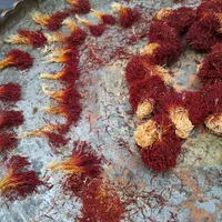 سرگل‌و دختر پیچ زعفران سرایان|عمده‌فروشی|شیراز, دانشگاه شیراز|دیوار