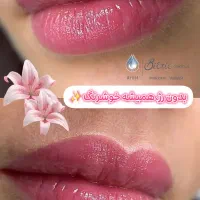 خدمات تخصصی شیدینگ لب،چشم،ابرو|خدمات آرایشگری و زیبایی|رباطکریم, رباطکریم|دیوار