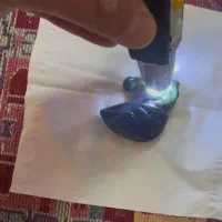 سردیس اسب|اسب و تجهیزات اسب‌سواری|تهران, ارم|دیوار