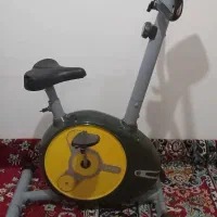 دوچرخه ثابت
