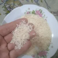 برنج هاشمی|خوردنی و آشامیدنی|رشت, آب و برق|دیوار