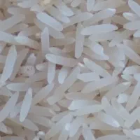 برنج فجردرجه۱آبیاری شده باآب چشمه دهنه چشمه ساران|خوردنی و آشامیدنی|نوده خاندوز, |دیوار