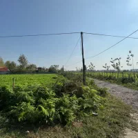 ۴۲۰۰ مترمسکونی‌باغی سنددار