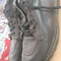 کفش|کیف، کفش، کمربند|بیرجند, |دیوار