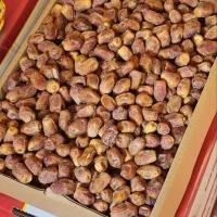 فروش خرمازاهدی