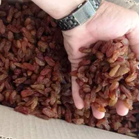 فروش کشمش خوراکی و آبگیری|خوردنی و آشامیدنی|کرمان, |دیوار