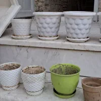 تعدادی گلدان پلاستیکی هرکدام ۳۵ تومن|گل و گیاه طبیعی|قم, آزادگان|دیوار