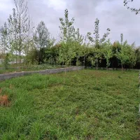 فروش-زمین-مسکونی-روستای-گورندان