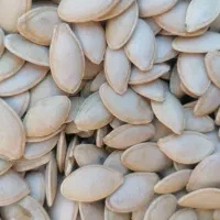 تخمگ گوشتی درجه یک به مقدار 20 تن