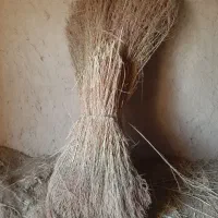 جارو شهرداری. دسته جارو چوبی