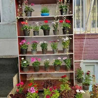 خوابگاه پسرانه مهمانپذیر اقامتگاه پانسیون