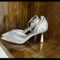 کفش مجلسی|کیف، کفش، کمربند|بوکان, |دیوار