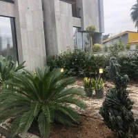 خدمات باغی هرس... حیاط سازی