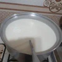 لبنیات، شیر کره.. .تخم مرغ محلی|خوردنی و آشامیدنی|مسجد سلیمان, |دیوار