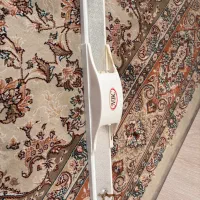 ترانز مهتابی کاملا سالم